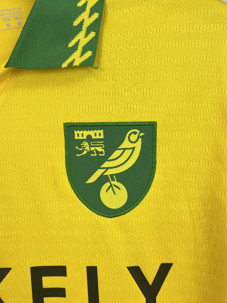 Camisola Norwich Principal 2025/26 2