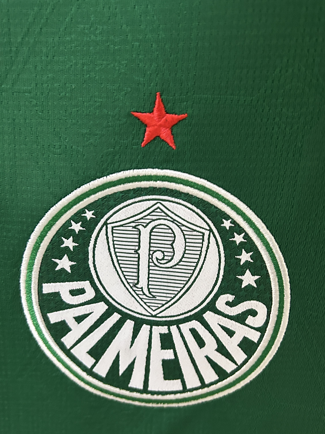 Camisola Palmeiras Principal 2025/26 2