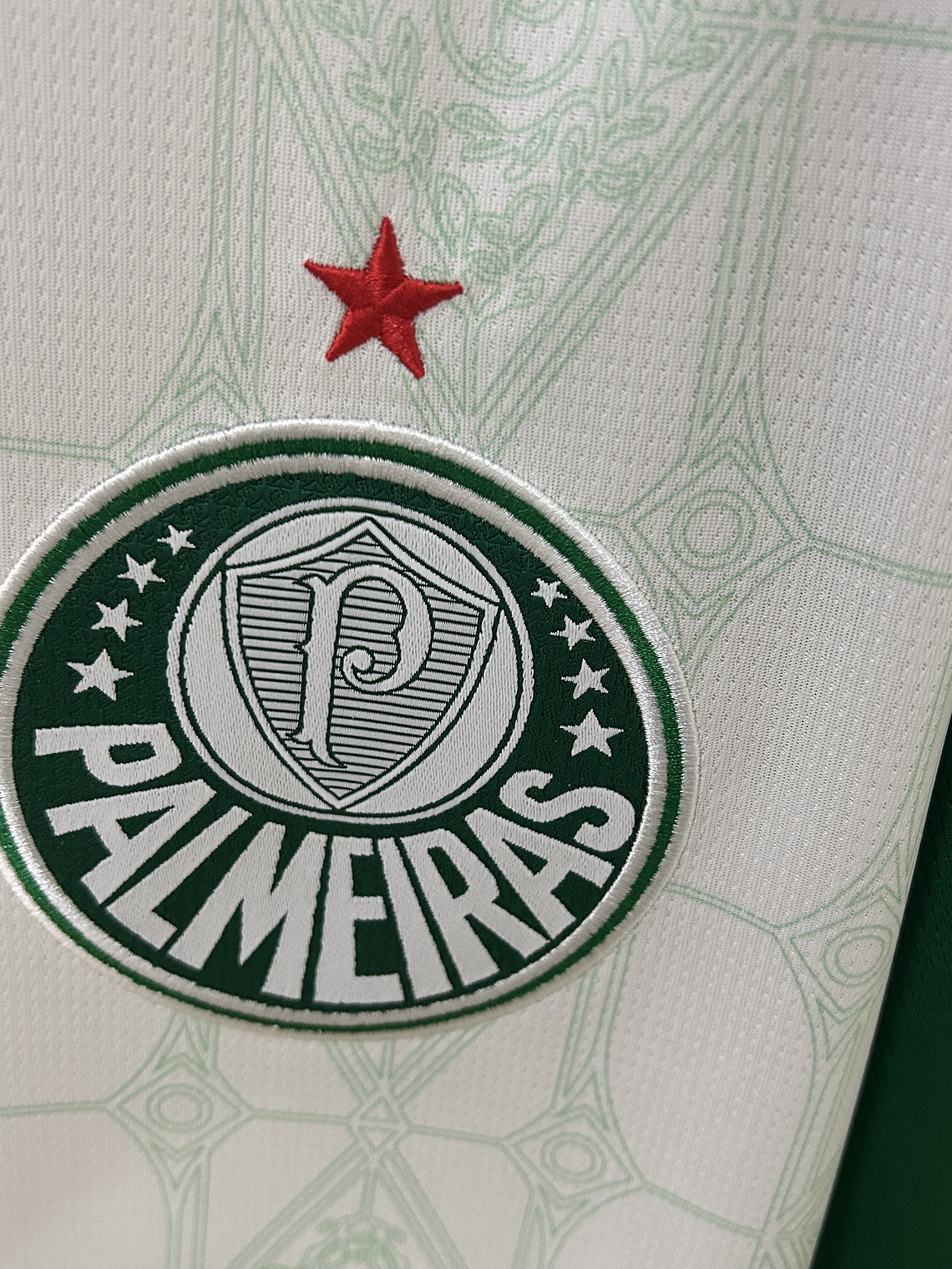 Camisola Palmeiras Alternativa 2025/26 2