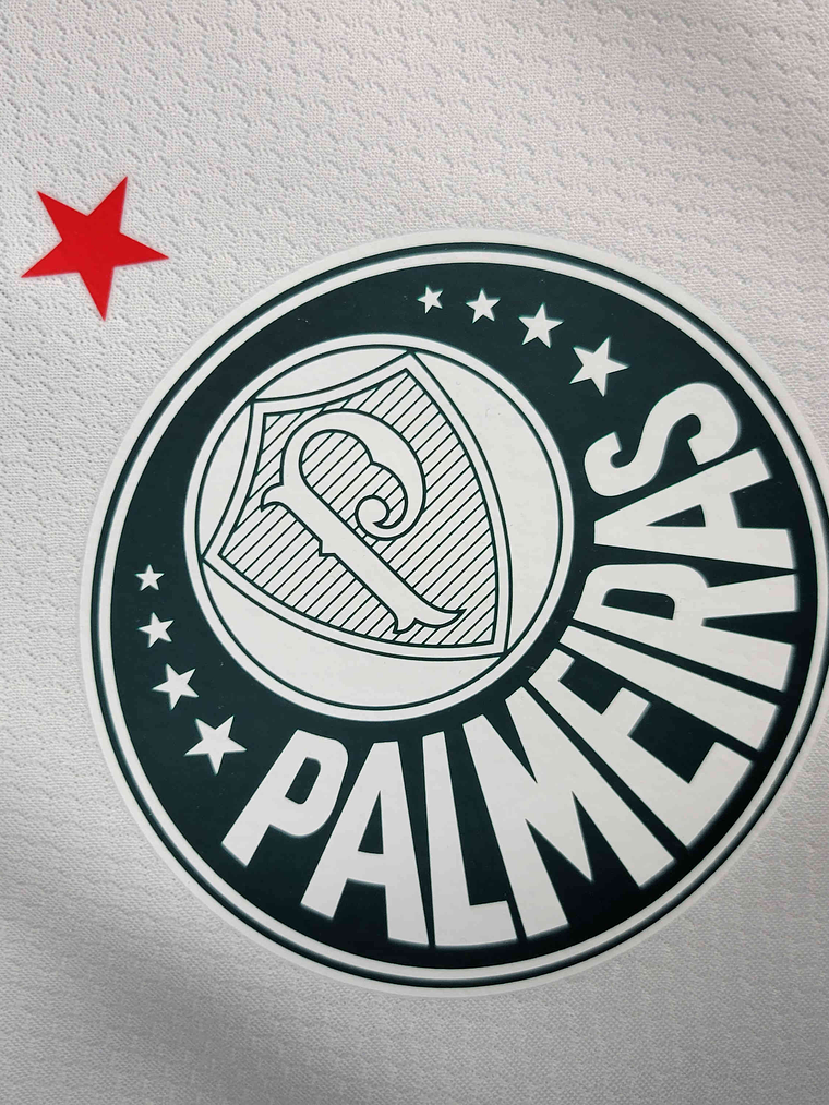 Camisola Palmeiras Alternativa 2023/24 2