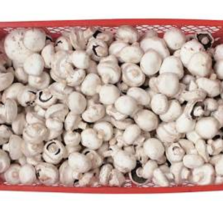 Champiñones 2da. selección 2