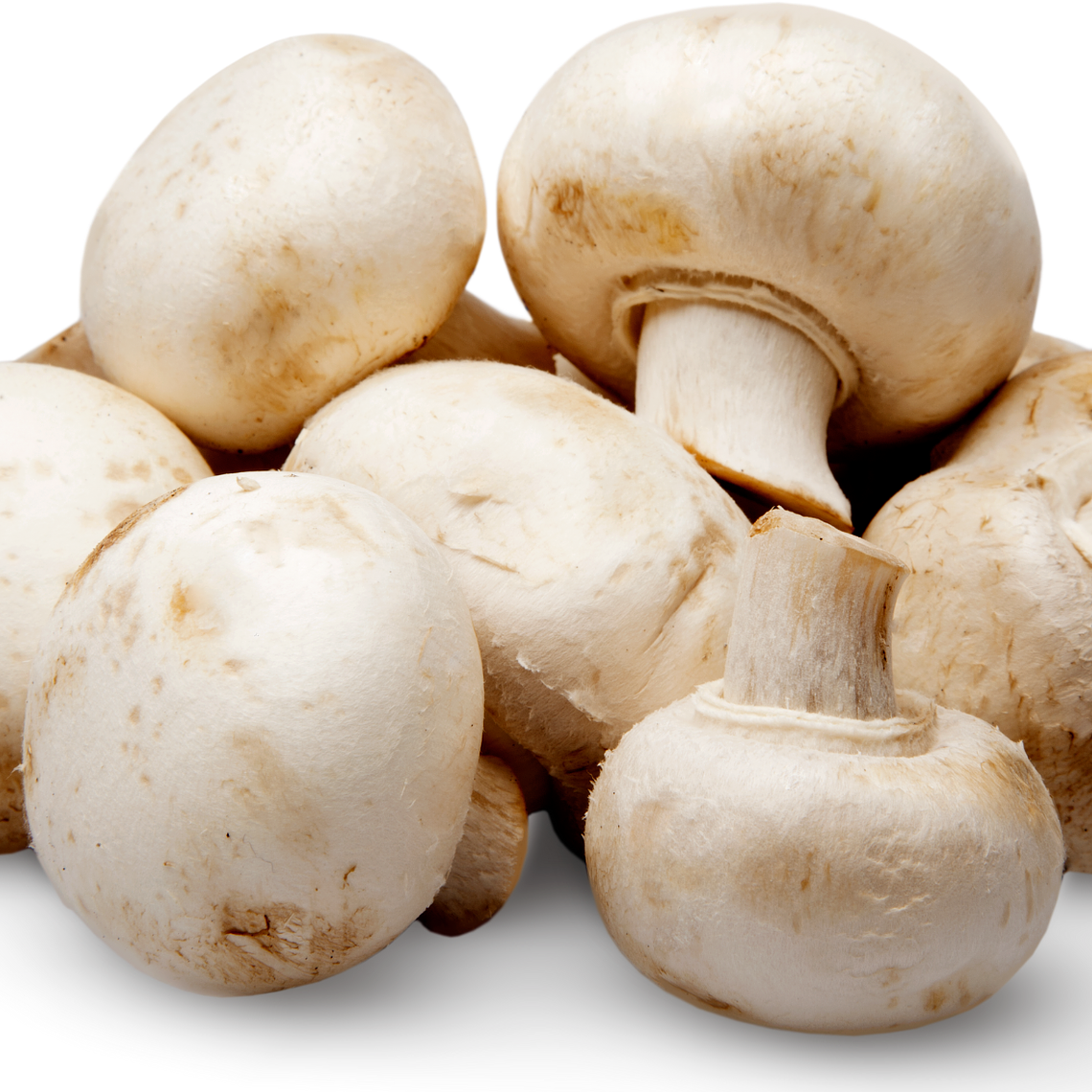 Champiñones 1a. categoria 1