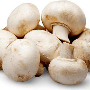 Champiñones 1a. categoria