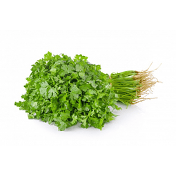 Und de Cilantro