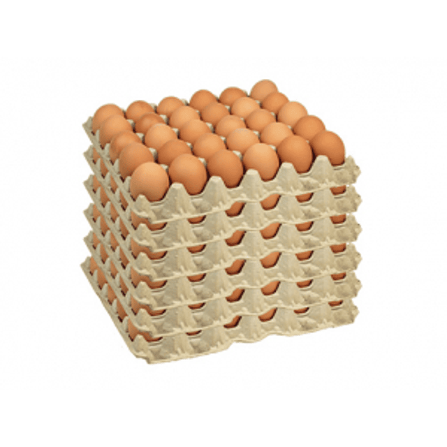 Caja Huevo de 180 Unidades