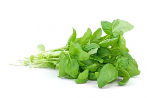 750 Gramos de Albahaca