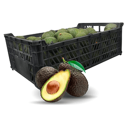 Caja de Palta Peruana  15Kg 1era