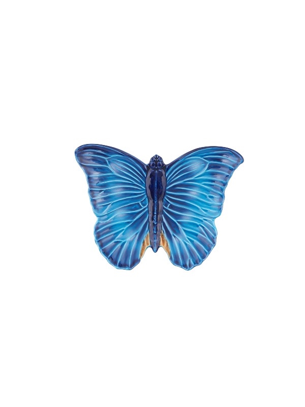 Cloudy Butterflies – Vide Poche