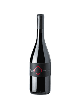 Quinta de Lemos Jaen Tinto