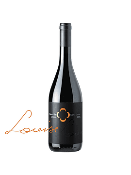Quinta de Lemos Dona Louise