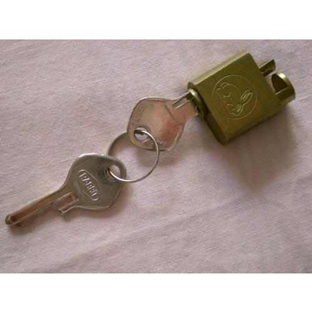 CANDADO PARA TELEFONO 1