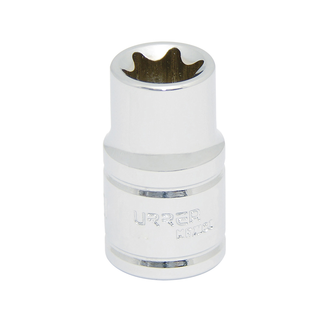 Dado Torx hembra cuadro de 1/2