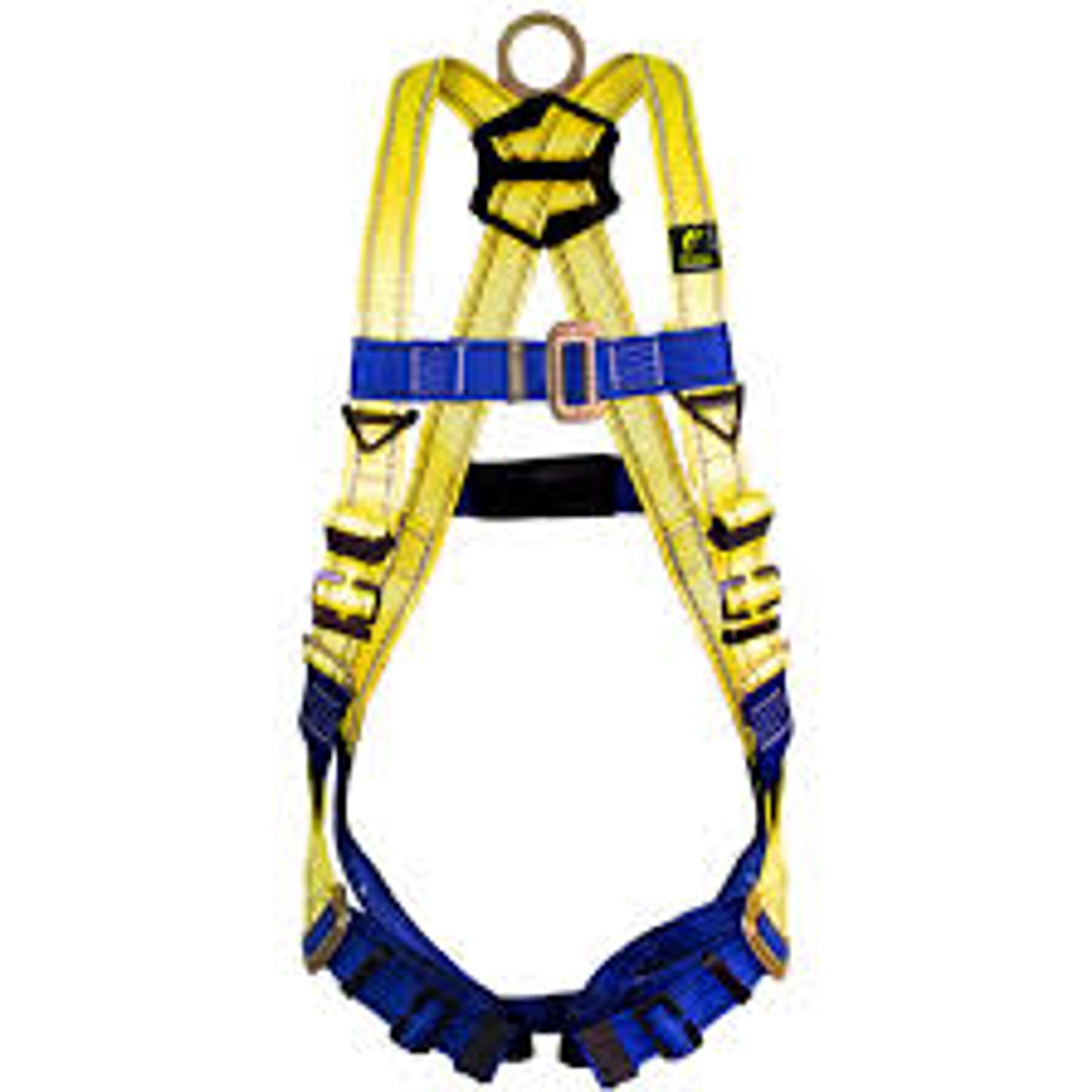 ARNES CON ANILLO D EN ESPALDA 1