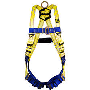 ARNES CON ANILLO D EN ESPALDA