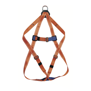 ARNES DE SEGURIDAD CON UNA ARGOLLA