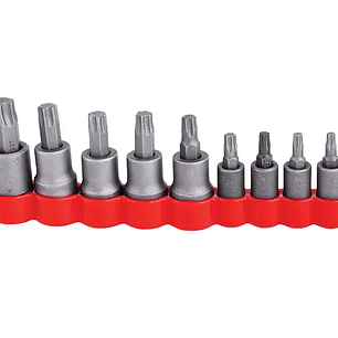 Juego de dados con punta torx cuadro de 1/4