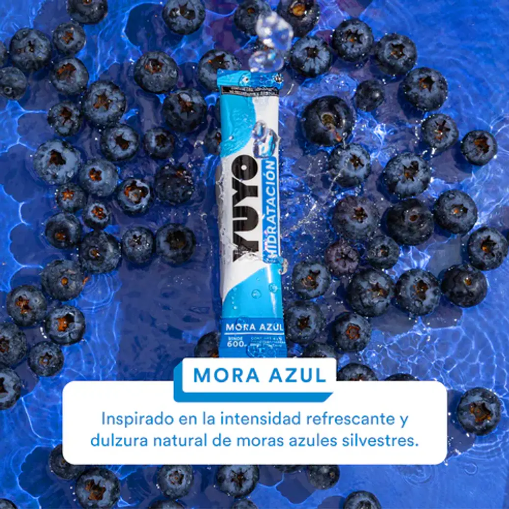 BEBIDA INDIVIDUAL CON 320 SOBRES DE VARIOS SABORES 1L 6