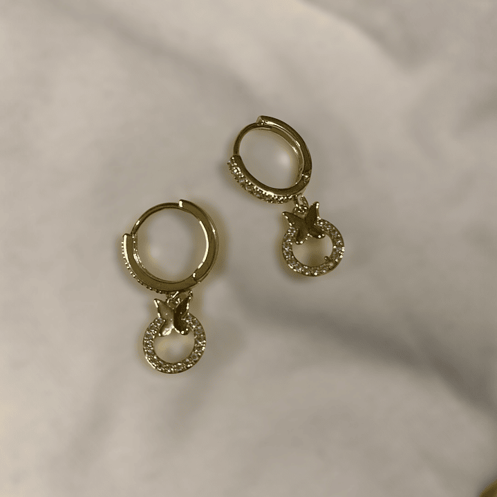 Pendientes de mariposa 1
