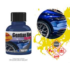 Gentian Blue Porsche
