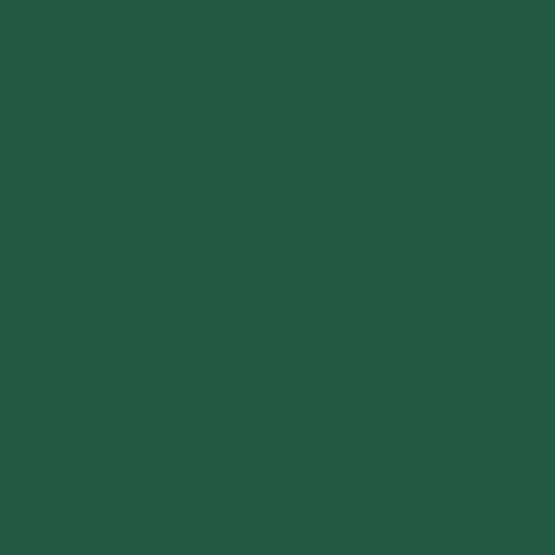 6016 Turquoise Green 400ml