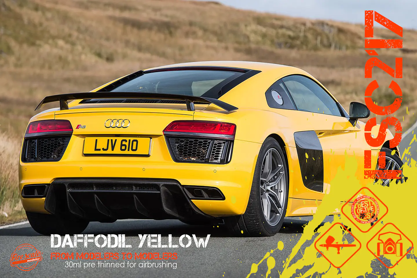 Yellow Daffodil 1