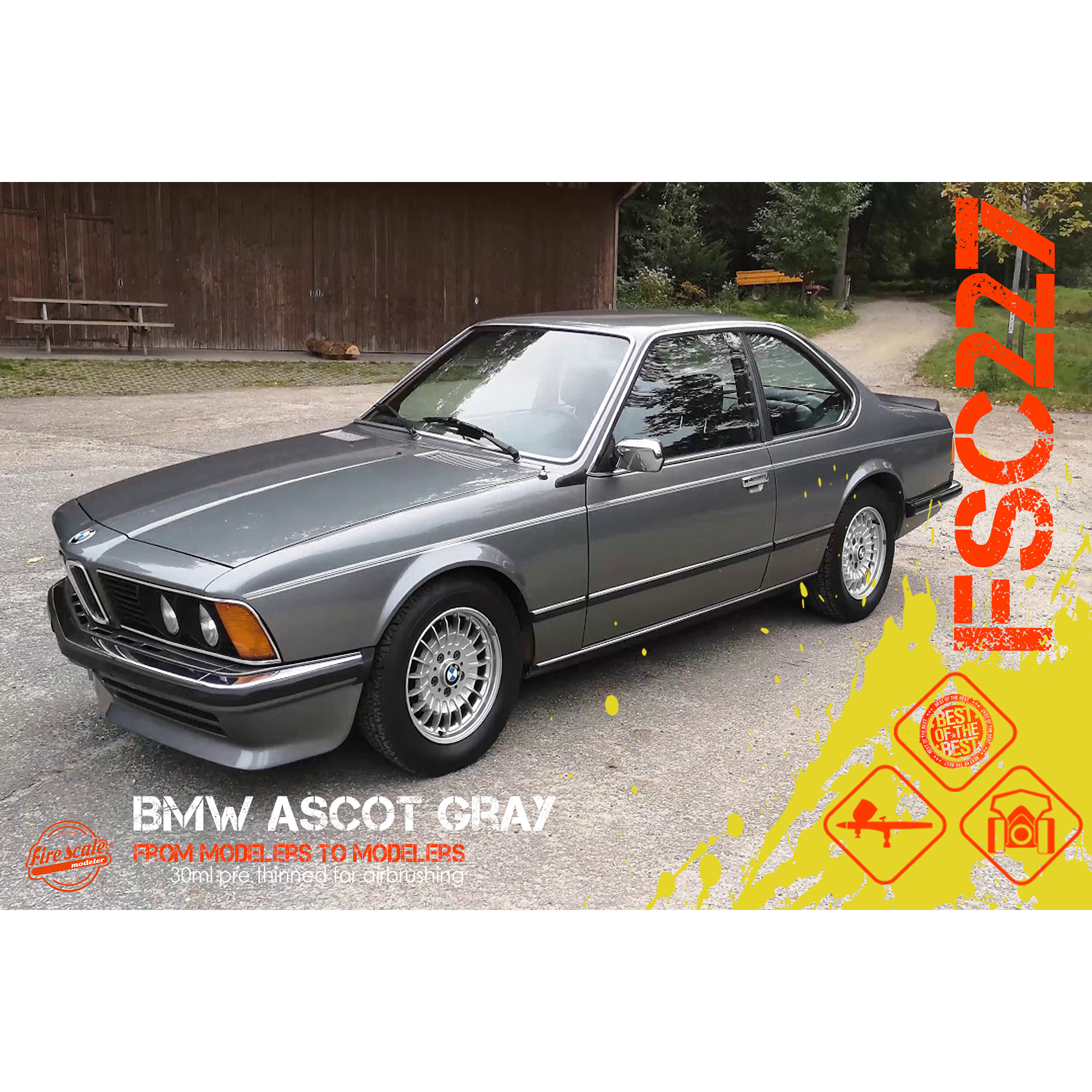 Ascot Gray BMW 