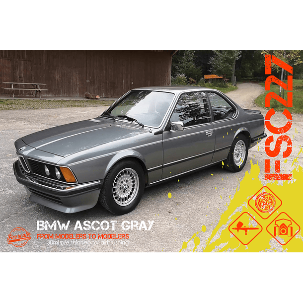 Ascot Gray BMW 2