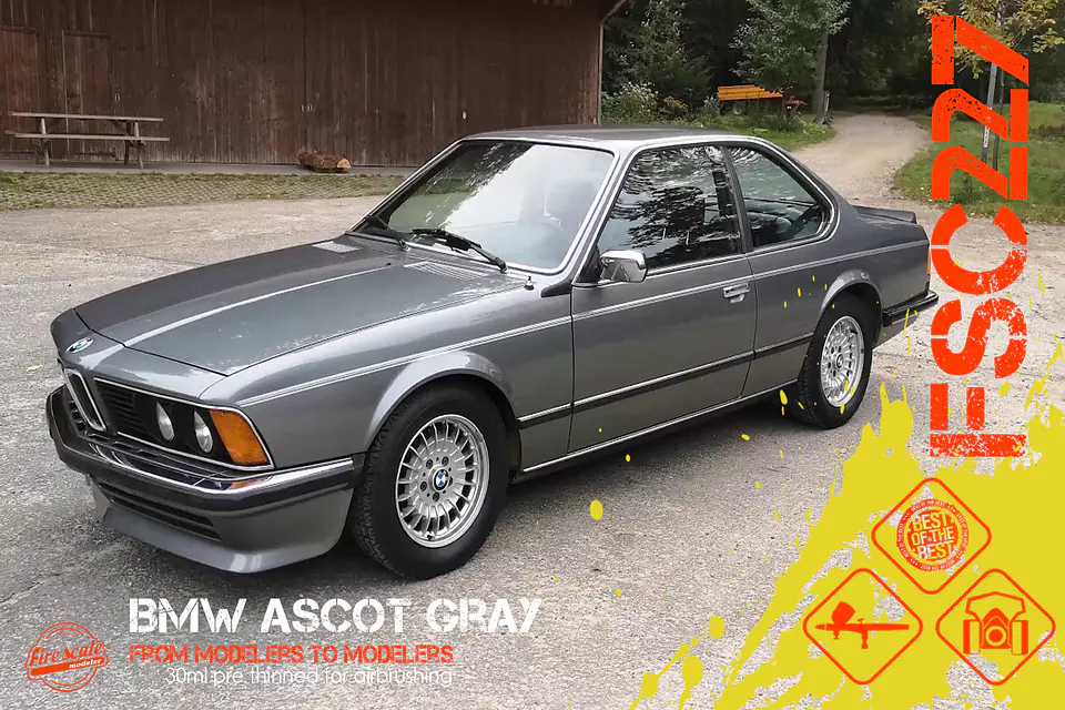 Ascot Gray BMW 2