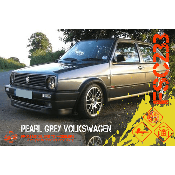 Pearl Gray Volkswagen 1