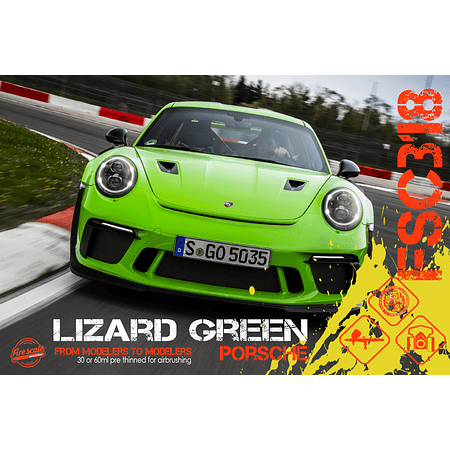 Porsche Lizard Green