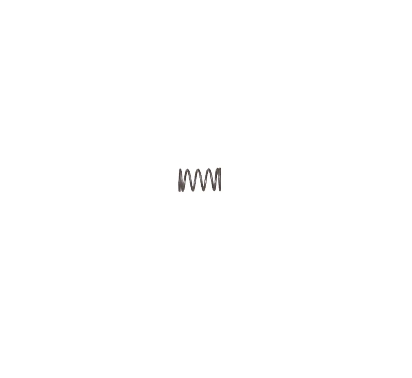 Valve Spring 123270 1