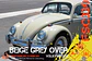 Beige Grey Over Volkswagen - miniatura 2