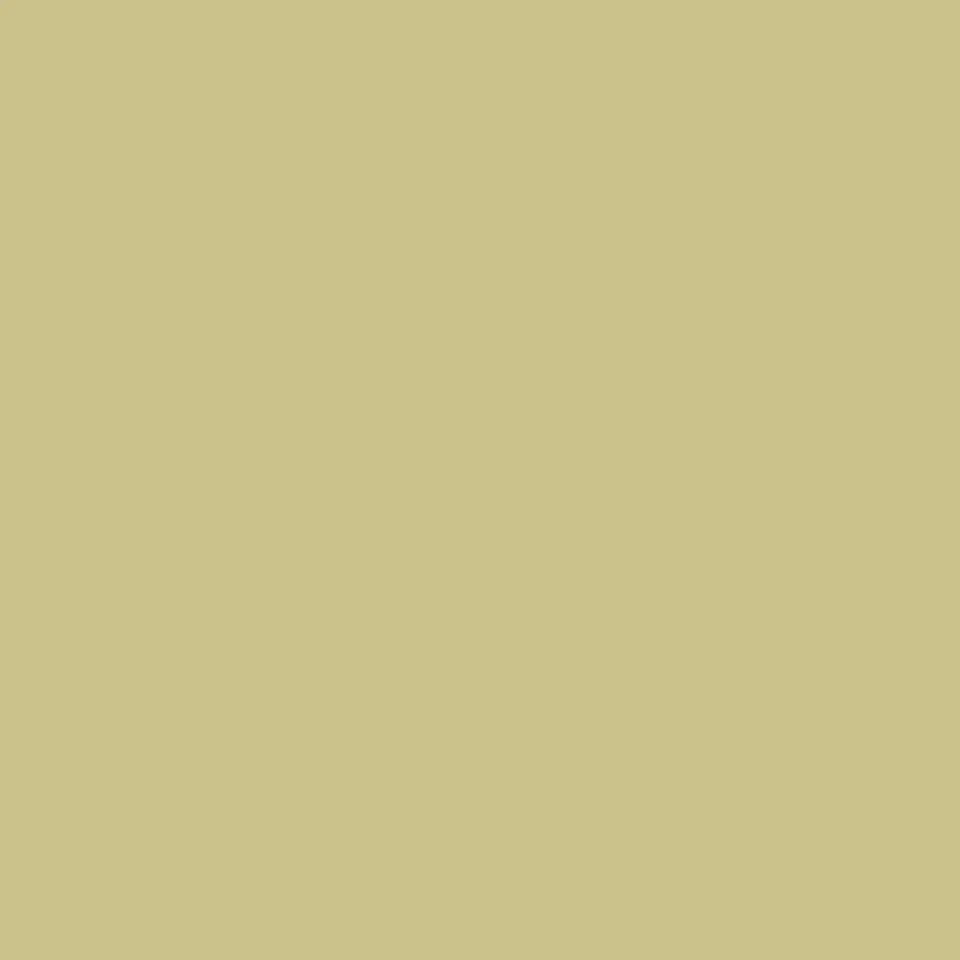 Ral 1000 Verde Beige 1