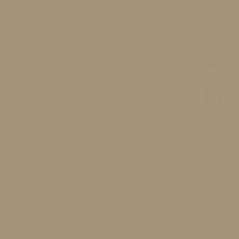 Ral 1019 Grey beige