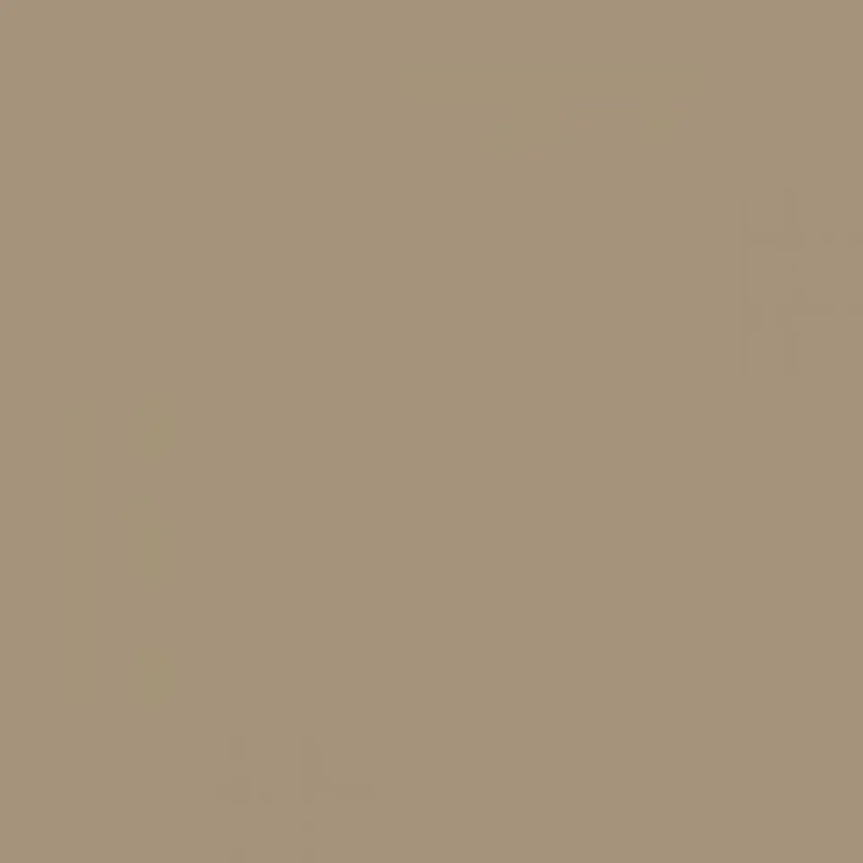 Ral 1019 Grey beige 1