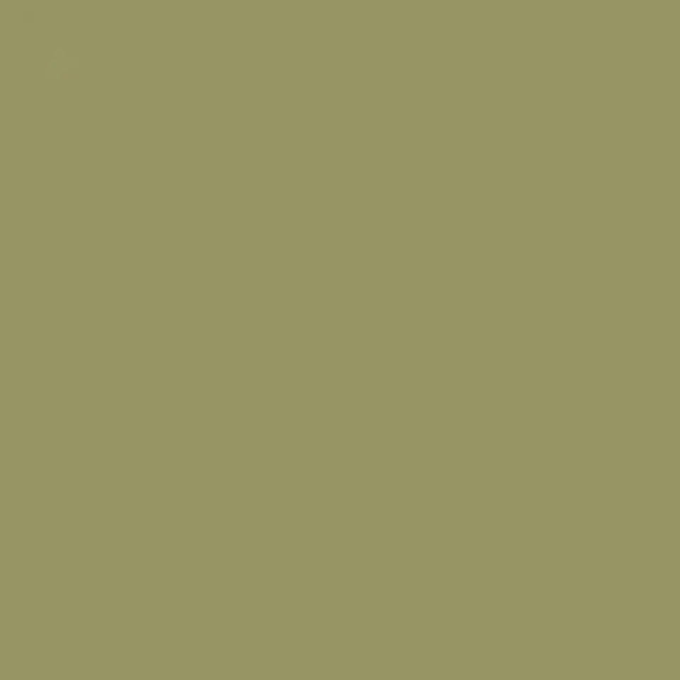 Ral 1020 Olive yellow 1