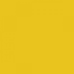Ral 1021 Colza yellow