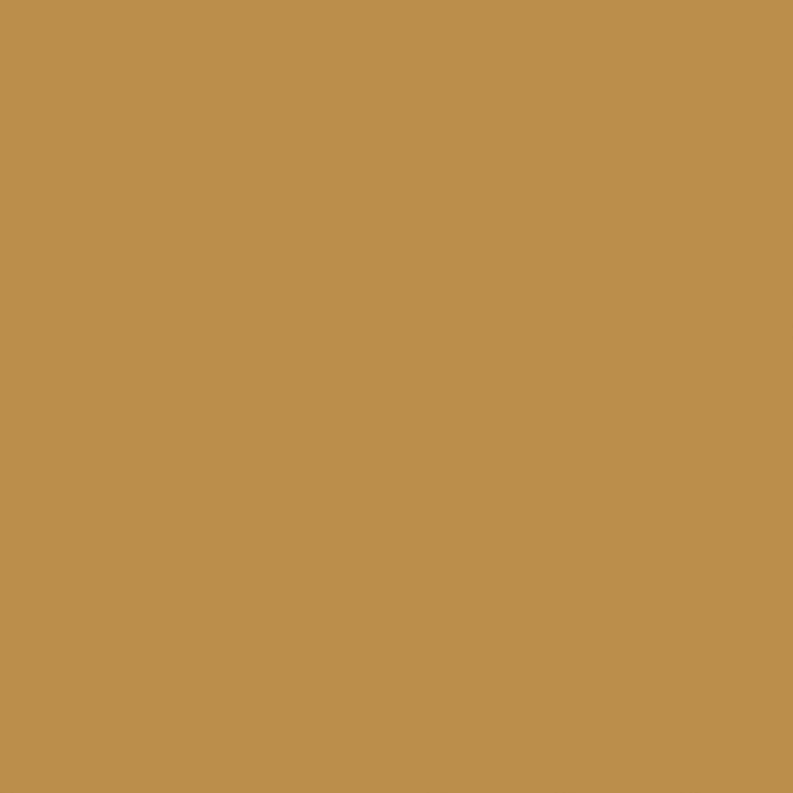 Ral 1024 Ochre yellow