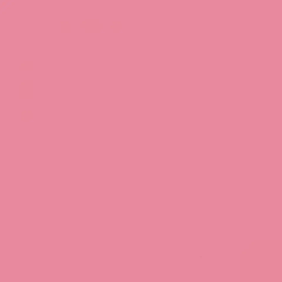 Ral 3015 Light pink 1