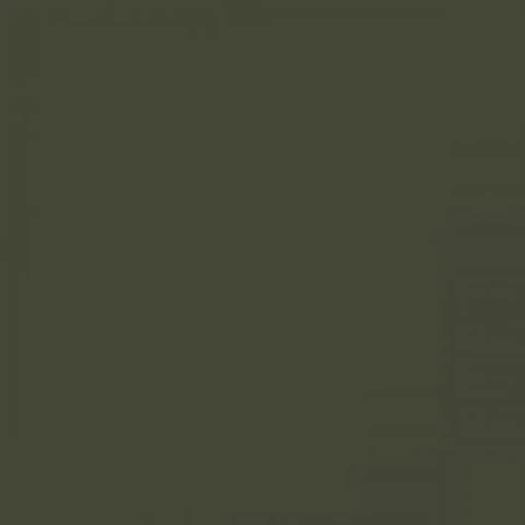 RAL 6003 Olive green