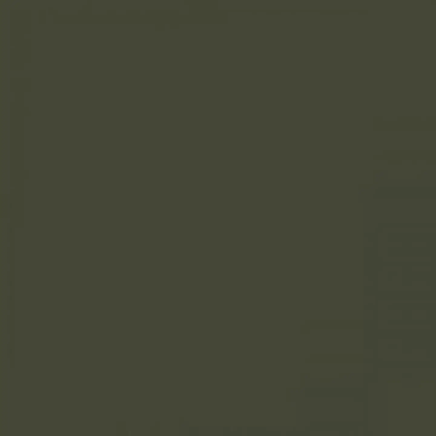 RAL 6003 Verde oliva 1