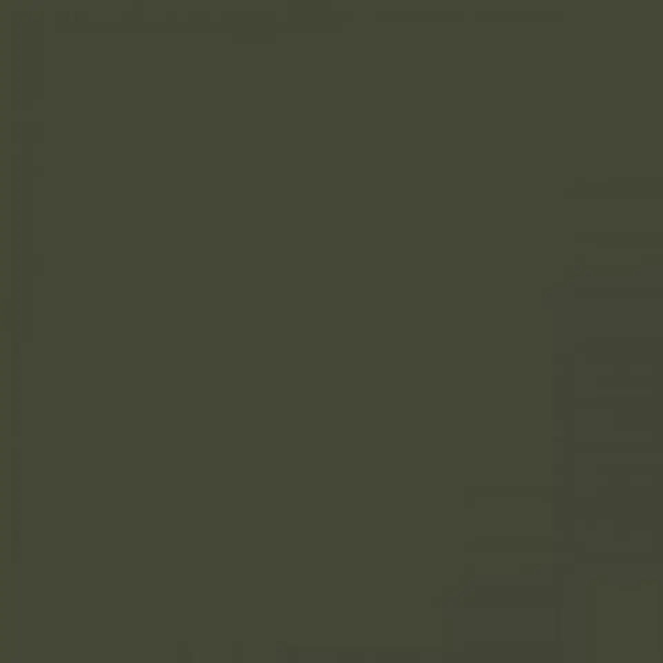 RAL 6003 Verde oliva 1