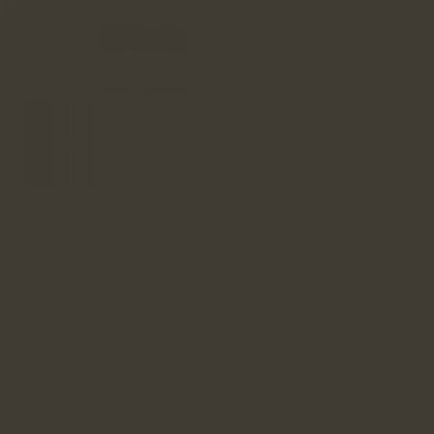 RAL 6006 Gris oliva