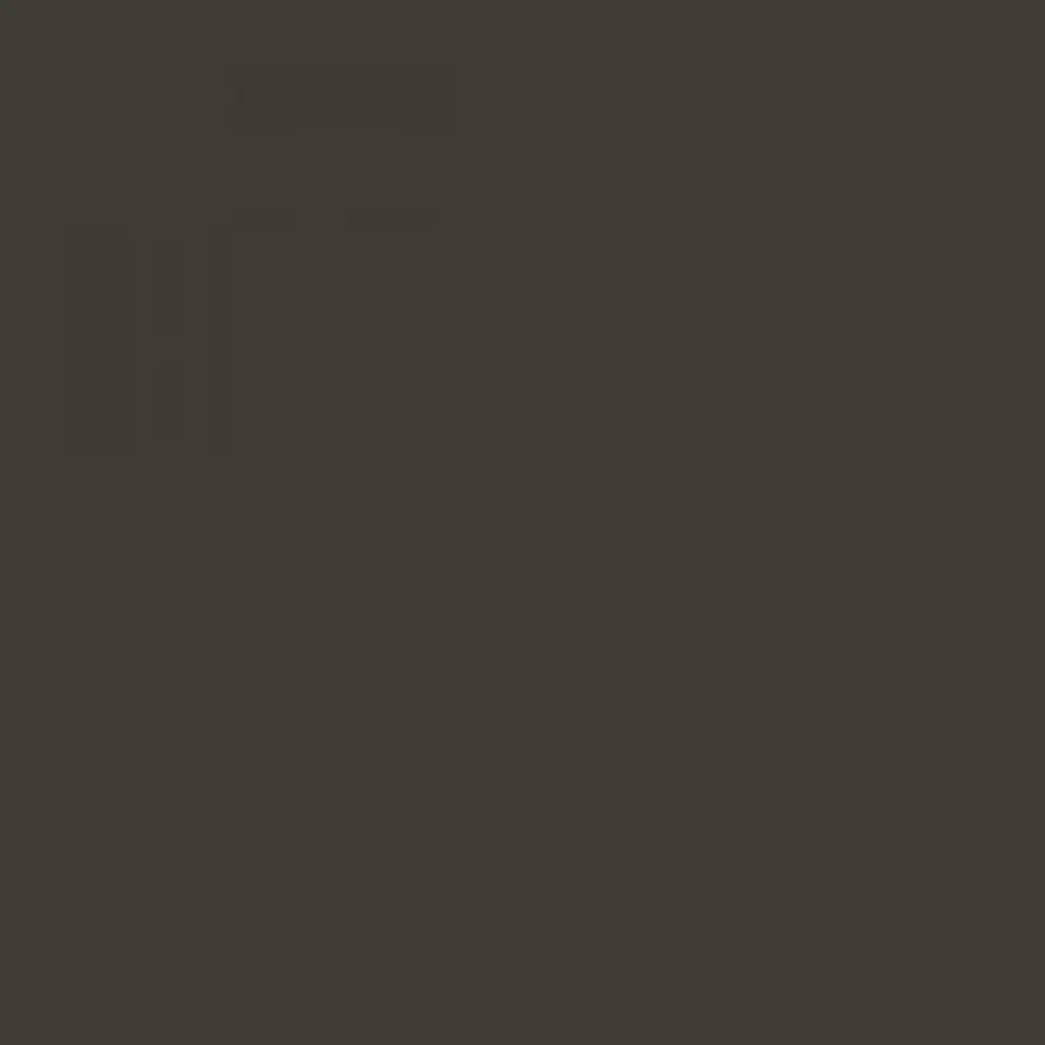 RAL 6006 Grey olive 1