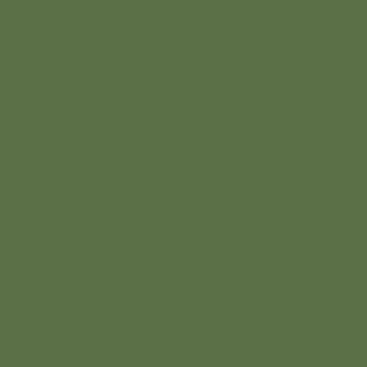RAL 6011 Verde reseda 1