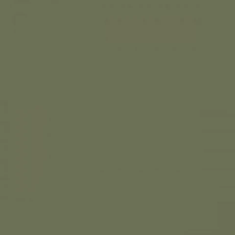 RAL 6013 Reed green