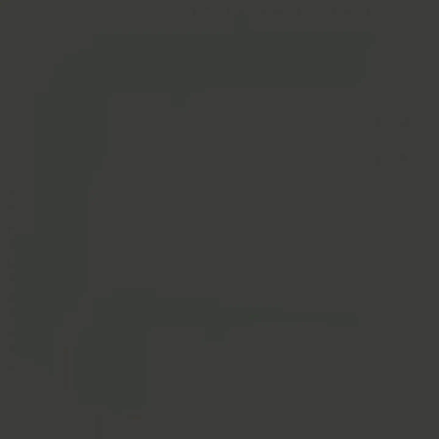 RAL 6015 Olive noire 1