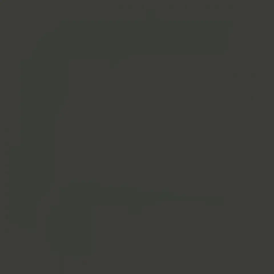 RAL 6015 Olive noire 1