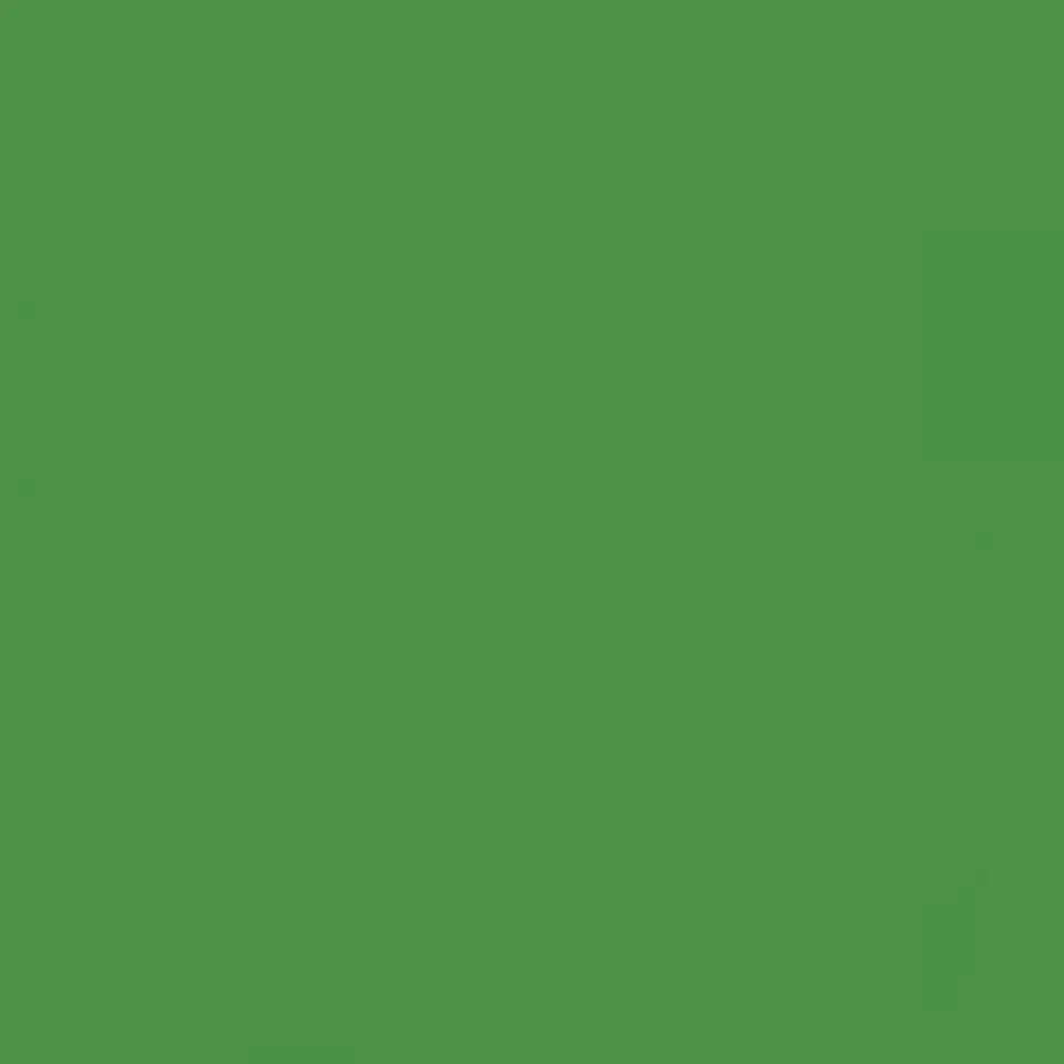 RAL 6017 May green 1