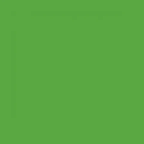 RAL 6018 Yellow green